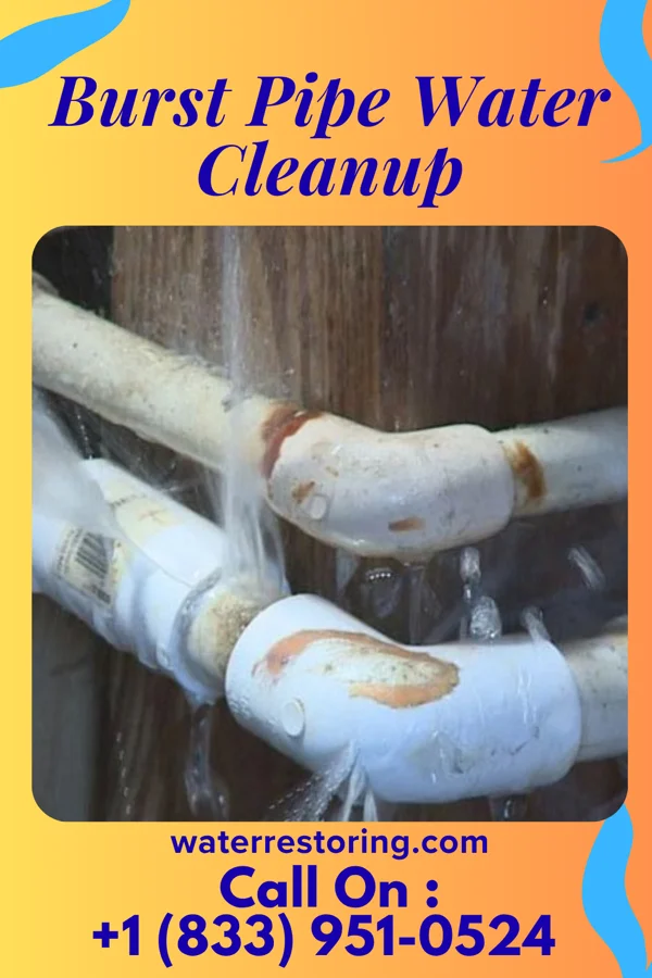 Burst Pipe Water Cleanup in Oak Hill, WV