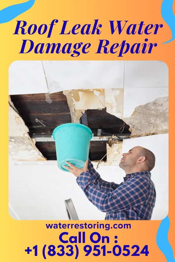 Roof Leak Water Damage Repair in Oak Hill, WV
