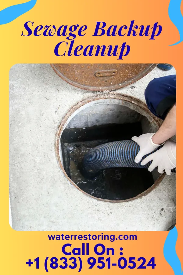 Sewage Backup Cleanup in Oak Hill, WV