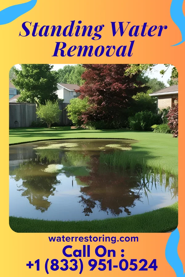 Standing Water Removal in Oak Hill, WV